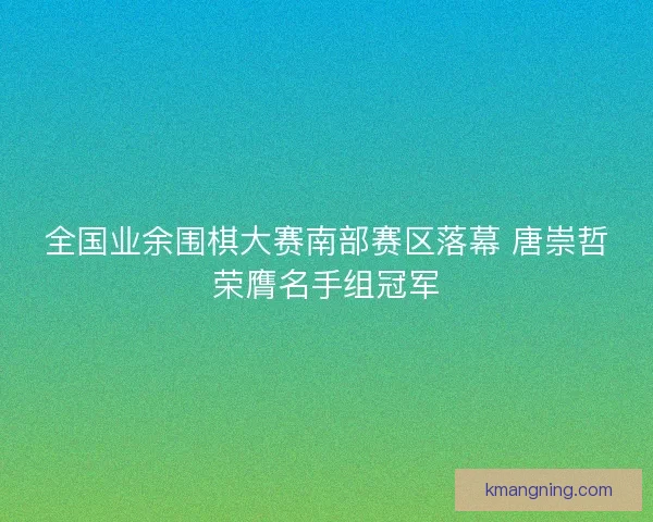 全国业余围棋大赛南部赛区落幕 唐崇哲荣膺名手组冠军