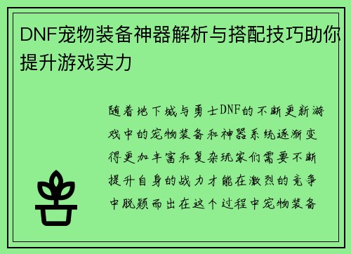 DNF宠物装备神器解析与搭配技巧助你提升游戏实力