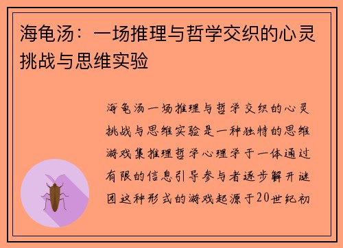 海龟汤：一场推理与哲学交织的心灵挑战与思维实验