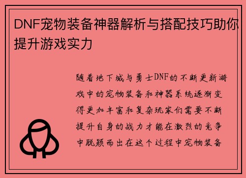DNF宠物装备神器解析与搭配技巧助你提升游戏实力